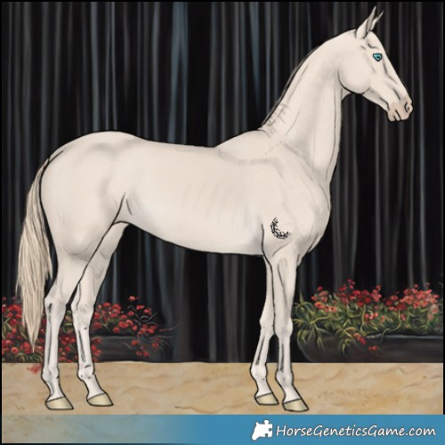 Horse Color:Smoky Creme 