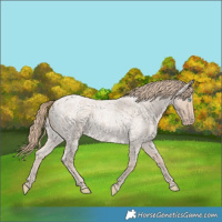 Horse Color:Smoky Creme Roan 