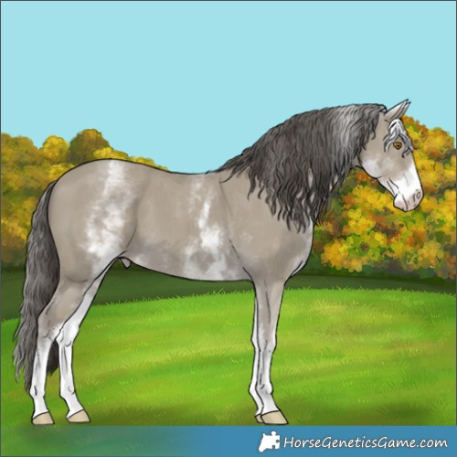 Horse Color:White Spotted Classic Cream Champagne 