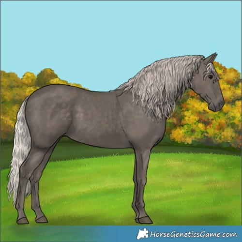 Horse Color:Silver Black