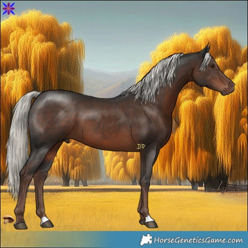 Horse Color:Liver Chestnut Mushroom 