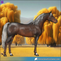 Horse Color:Liver Chestnut Mushroom 