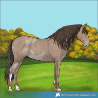 Horse Color:Classic Champagne Roan Tobiano  and Classic Champagne 