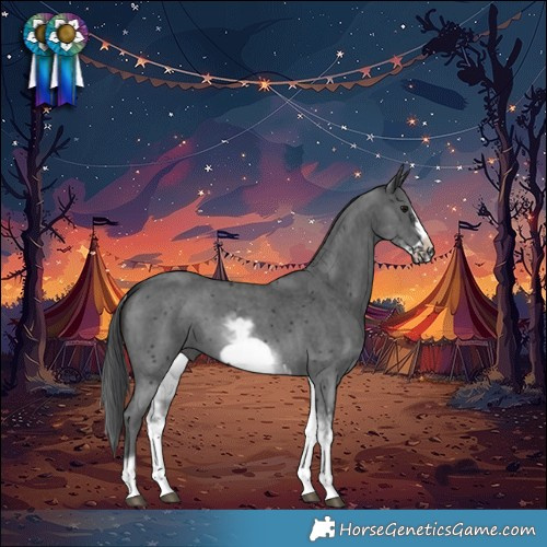 Horse Color:White Spotted Black Sabino Frame 