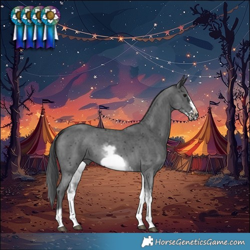 Horse Color:White Spotted Black Sabino Frame 