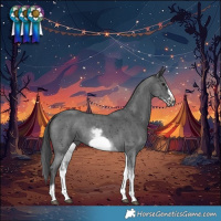 Horse Color:White Spotted Black Sabino Frame 