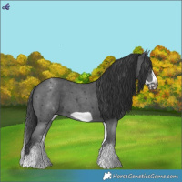 Horse Color:White Spotted Black Sabino Frame
