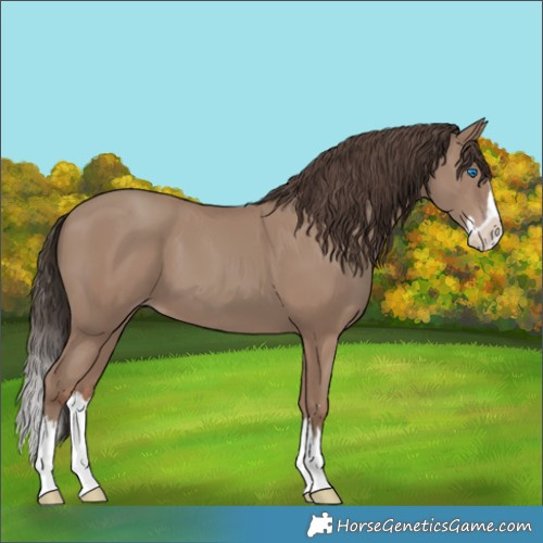 Horse Color:Classic Champagne Splash