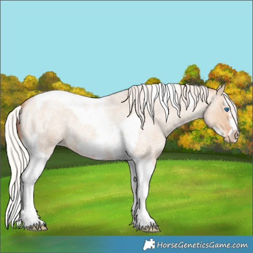 Horse Color:Silver Classic Champagne Roan Dun Splash Tobiano Frame Varnish Rabicano 