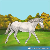 Horse Color:Perlino Dun Tobiano 