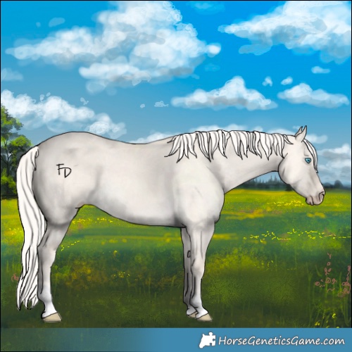 Horse Color:Cremello Dun Tobiano 