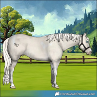 Horse Color:Cremello Dun Tobiano