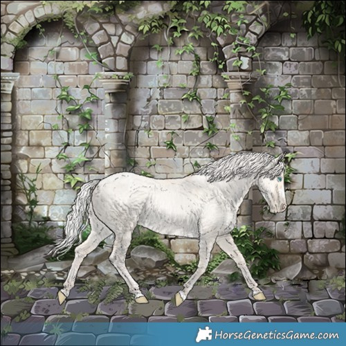 Horse Color:Silver Sable Cream Champagne Pearl Dun 