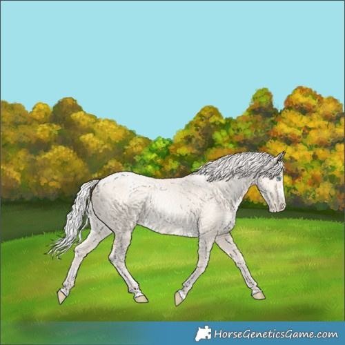 Horse Color:Silver Sable Cream Champagne Pearl Dun 