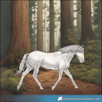 Horse Color:Silver Sable Cream Champagne Pearl Dun 