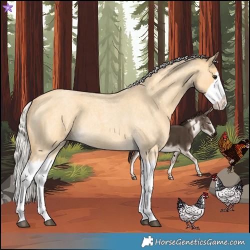 Horse Color:Silver Buckskin Roan Splash