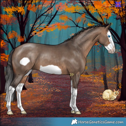 Horse Color:Bay Dun Splash Frame 