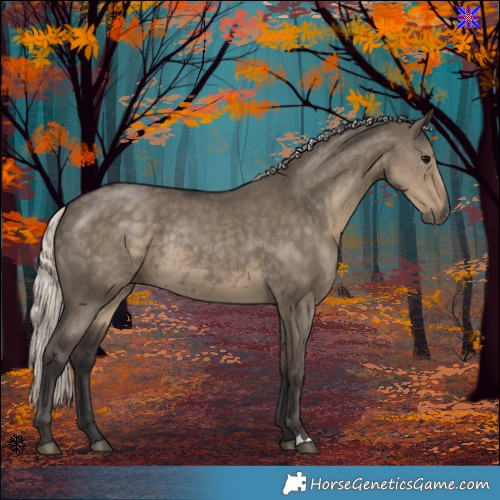 Horse Color:Silver Smoky Grullo 