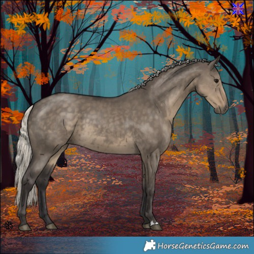 Horse Color:Silver Smoky Grullo 