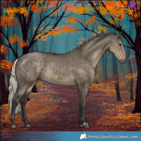 Horse Color:Silver Smoky Grullo 