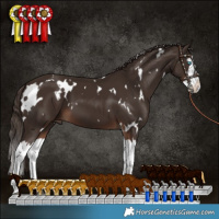 Horse Color:White Spotted Liver Chestnut Splash 