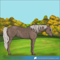 Horse Color:Silver Black 