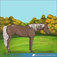 Horse Color:Silver Black 
