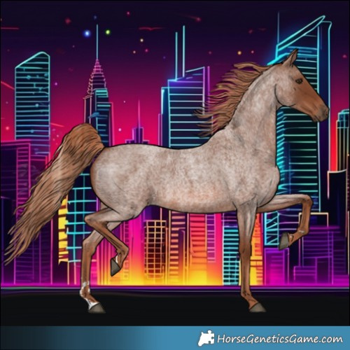 Horse Color:Red Roan 