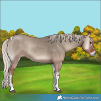 Horse Color:Silver Grullo Onyx Tobiano