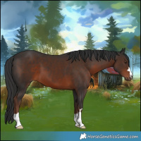 Horse Color:Liver Chestnut