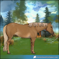Horse Color:Chocolate Palomino Dun Rabicano 