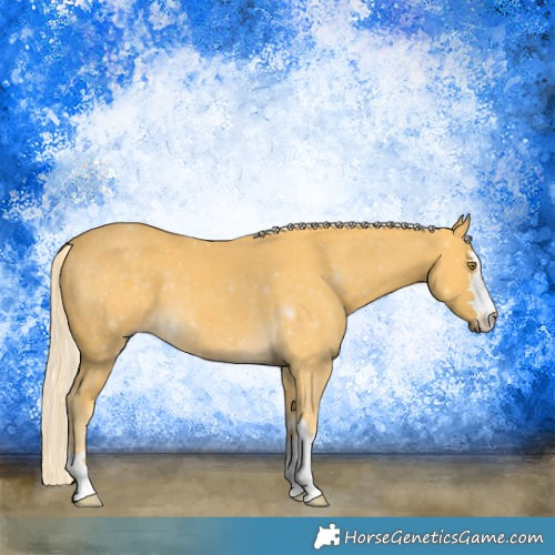 Horse Color:Palomino 