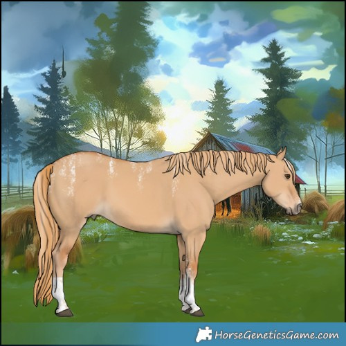 Horse Color:Powder White Red Dun Tobiano 