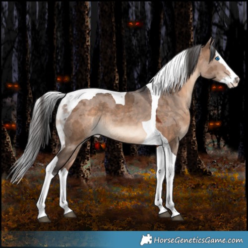 Horse Color:White Spotted Brown Dun Merle Splash Tobiano Rabicano 