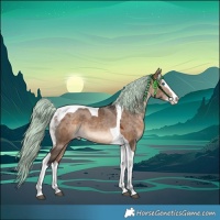 Horse Color:White Spotted Brown Dun Merle Splash Tobiano Rabicano 