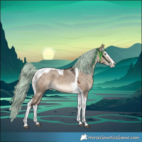 Horse Color:White Spotted Brown Dun Merle Splash Tobiano Rabicano