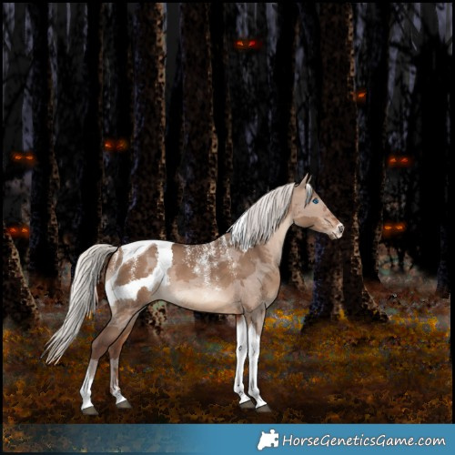 Horse Color:Powder White Silver Brown Dun Merle Tobiano 