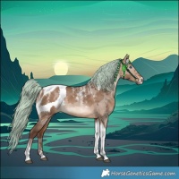 Horse Color:Powder White Silver Brown Dun Merle Tobiano