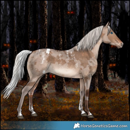 Horse Color:Powder White Silver Brown Dun Merle 