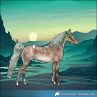 Horse Color:Powder White Silver Brown Dun Merle