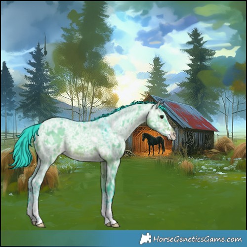 Horse Color:Watercolor Brown Ice Dun 