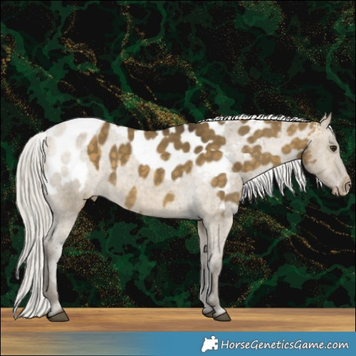 Horse Color:Silver Buckskin Dun Skewed LP Spotted
