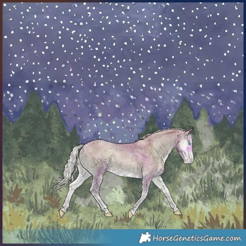 Horse Color:Watercolor Silver Perlino Onyx Merle Appaloosa