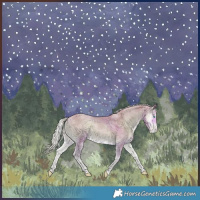 Horse Color:Watercolor Silver Perlino Onyx Merle Varnish 