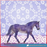 Horse Color:Gray Watercolor Brown Merle Rabicano