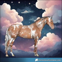 Horse Color:White Spotted Silver Amber Champagne Merle 