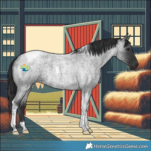 Horse Color:Blue Roan Tobiano Rabicano 