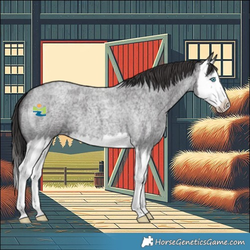 Horse Color:Smoky Blue Roan Splash 