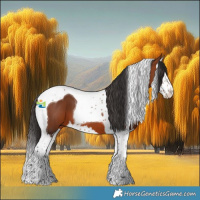 Horse Color:Bay Splash Tobiano 