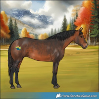 Horse Color:Bay Sabino Rabicano 